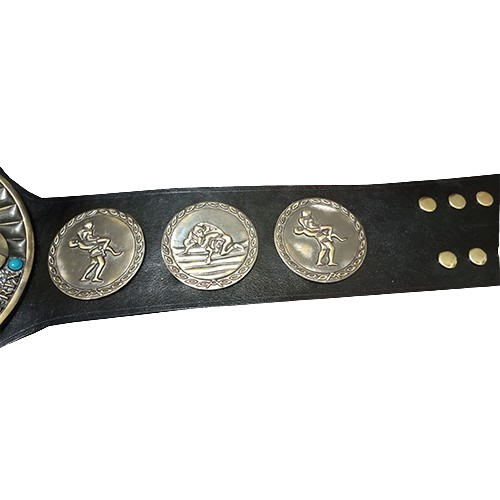 New Japan IWGP Tag Champion Belt