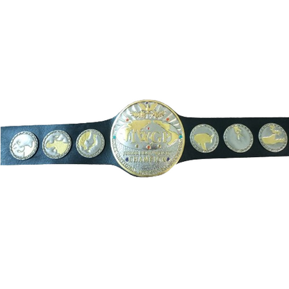 New Japan IWGP Tag Champion Belt