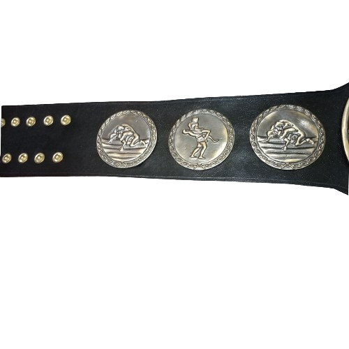 New Japan IWGP Tag Champion Belt