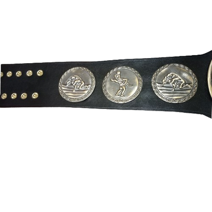 New Japan IWGP Tag Champion Belt
