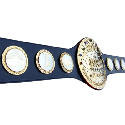 IWGP New Japan Pro Wrestling Belt