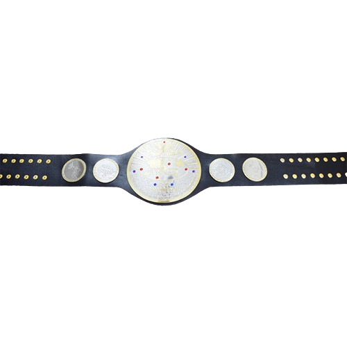 IWGP Tag Team Wrestling Belt