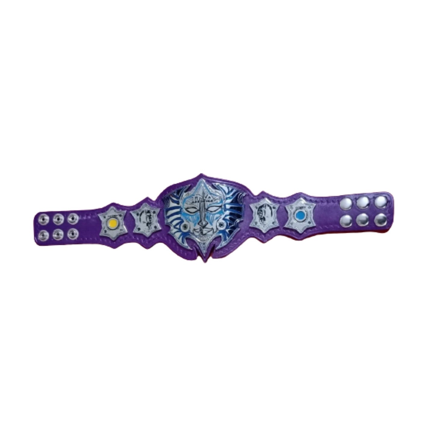 Jeff Hardy WWE Mini Championship Belt