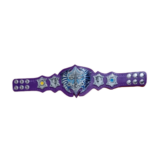 Jeff Hardy WWE Mini Championship Belt