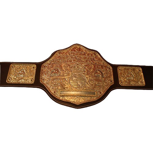 Big Gold Championship Wrestling Belt