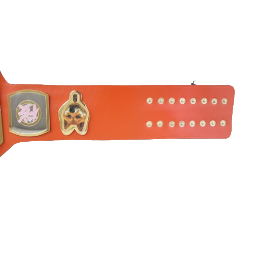 Kazushi Sakuraba MMA Wrestling Belt