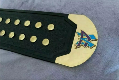 Matt Cardona WWE Internet Champion Belt