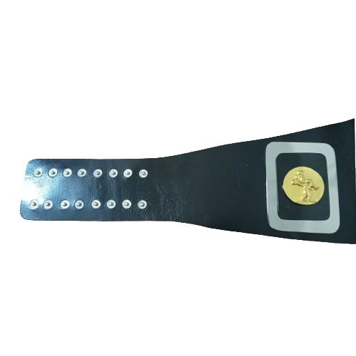 AWA Mike Jackson Jr. Heavyweight Belt
