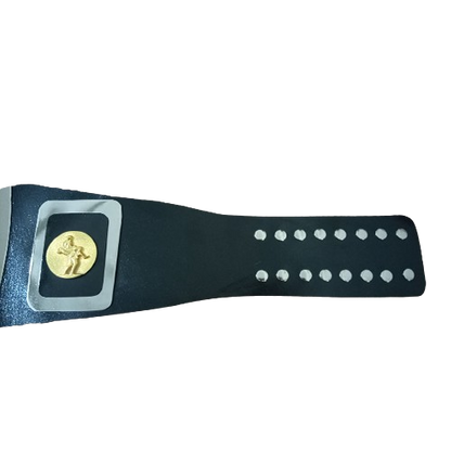 AWA Mike Jackson Jr. Heavyweight Belt