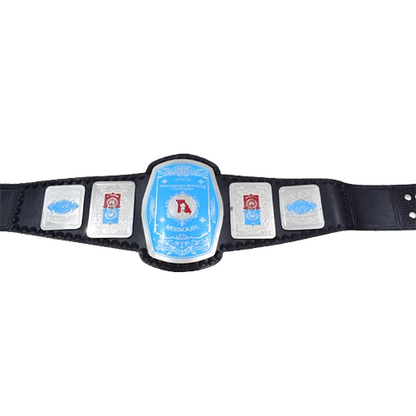 Missouri Championship Wrestling Belt