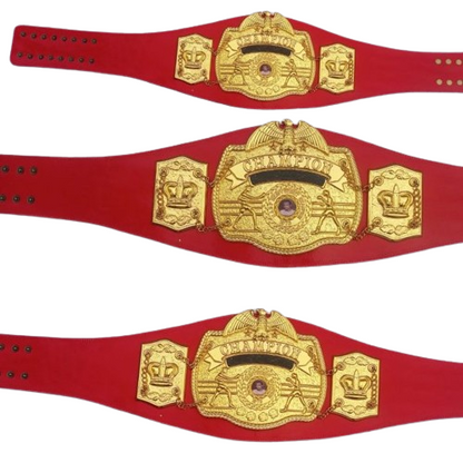 N.A.B.F Boxing Champion Replica Belt