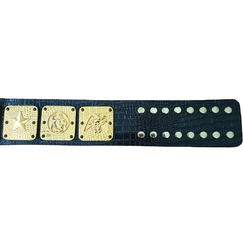 NWA Americas Heavyweight Wrestling Belt