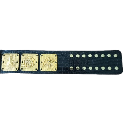 NWA Americas Heavyweight Wrestling Belt