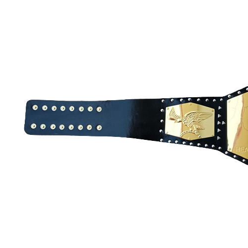 NWA Detroit US Heavyweight Belt