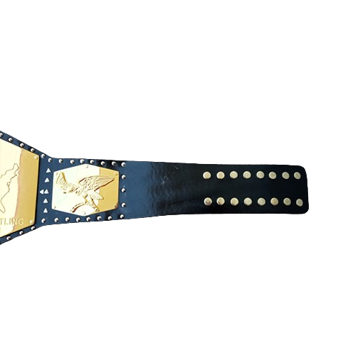 NWA Detroit US Heavyweight Belt