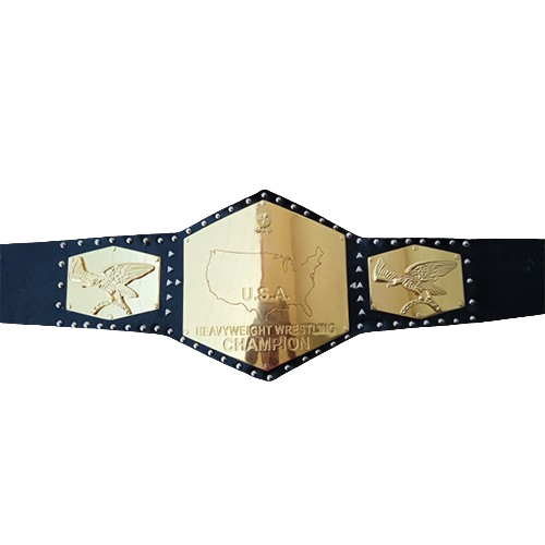 NWA Detroit US Heavyweight Belt