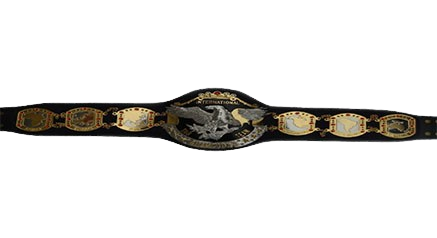 NWA International Tag Team Belt