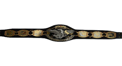 NWA International Tag Team Belt