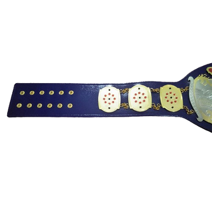 NWA Junior Heavyweight Championship Belt