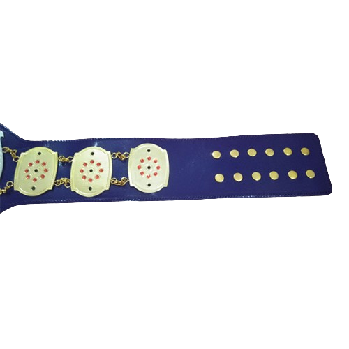 NWA Junior Heavyweight Championship Belt