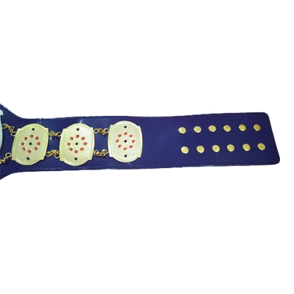 NWA Junior Heavyweight Championship Belt