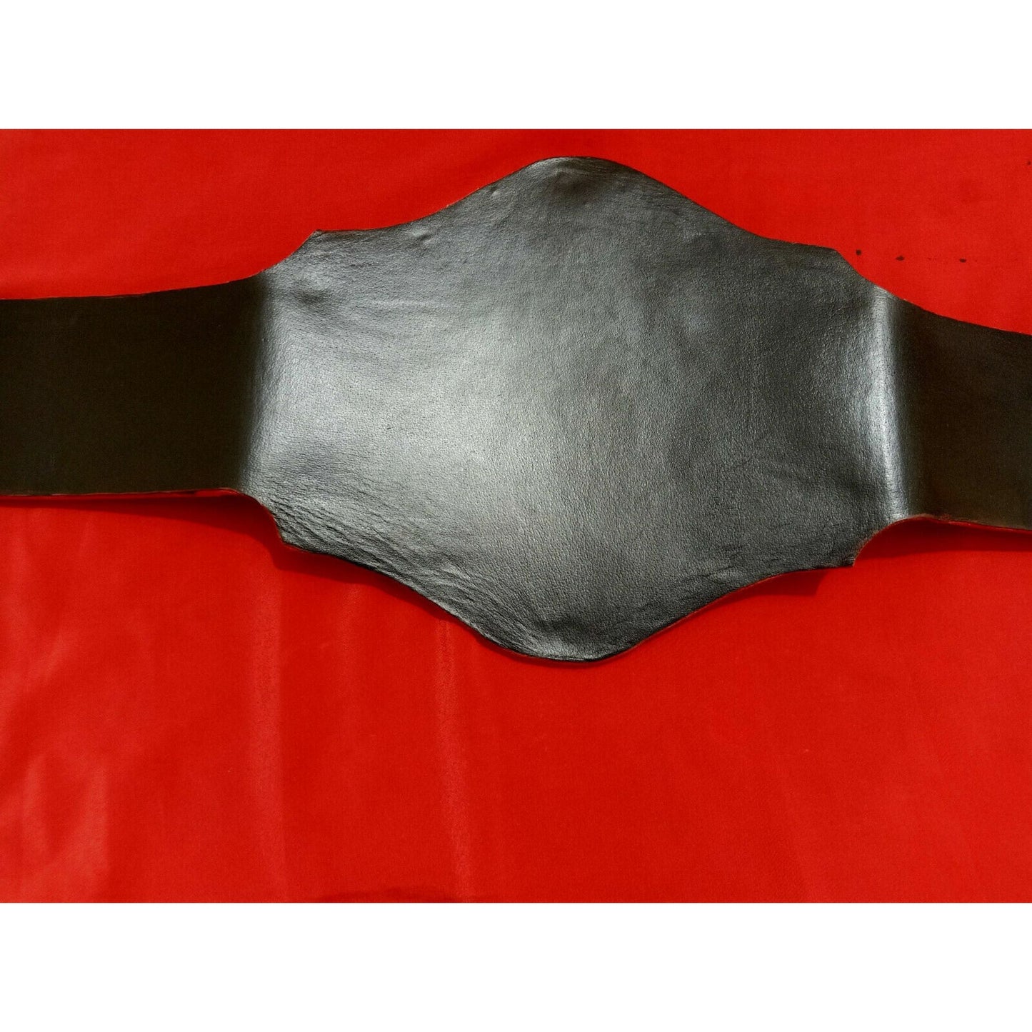 NWA World Television Replica Belt