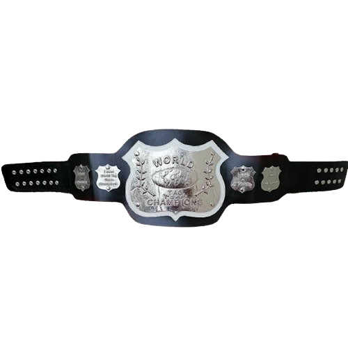 NWA World Tag Team Belt