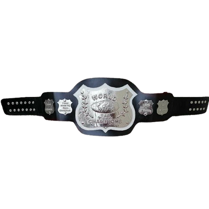 NWA World Tag Team Belt