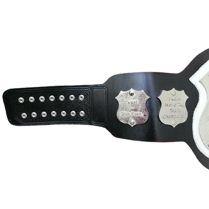NWA World Tag Team Belt