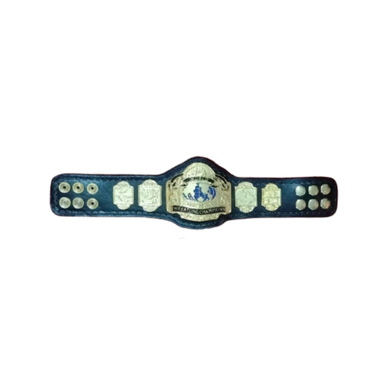 NWA World Tag Team Belt