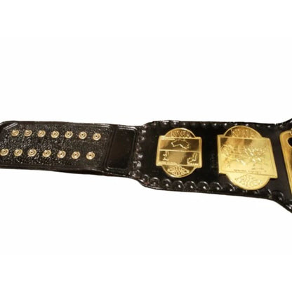 NWA World Tag Team Replica Belt