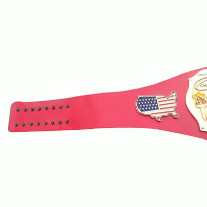 NWA Continental USA Wrestling Belt