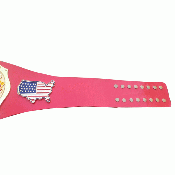 NWA Continental USA Wrestling Belt