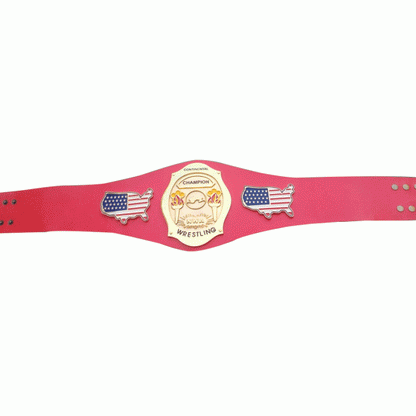 NWA Continental USA Wrestling Belt