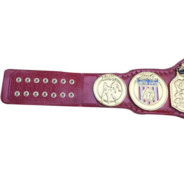 NWA USA Tag Team Championship Belt