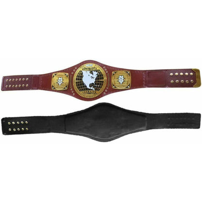 NXT North American Championship Belt