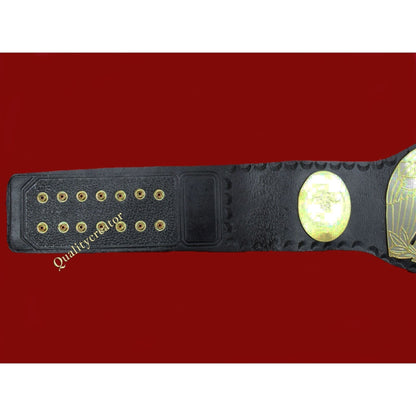 IWA North America Wrestling Belt