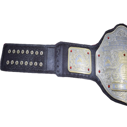 Ric Flair WWE Heavyweight Belt
