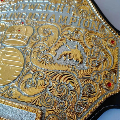 Big Gold WCW Heavyweight Belt