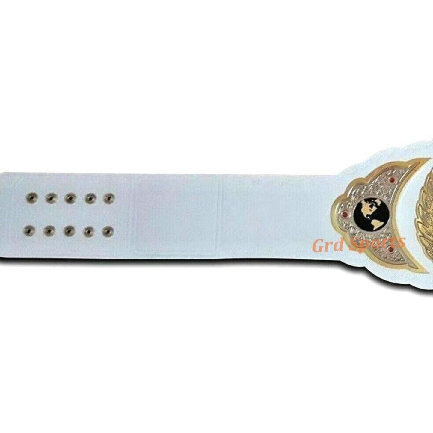 TNA Women's Championship Title Belt