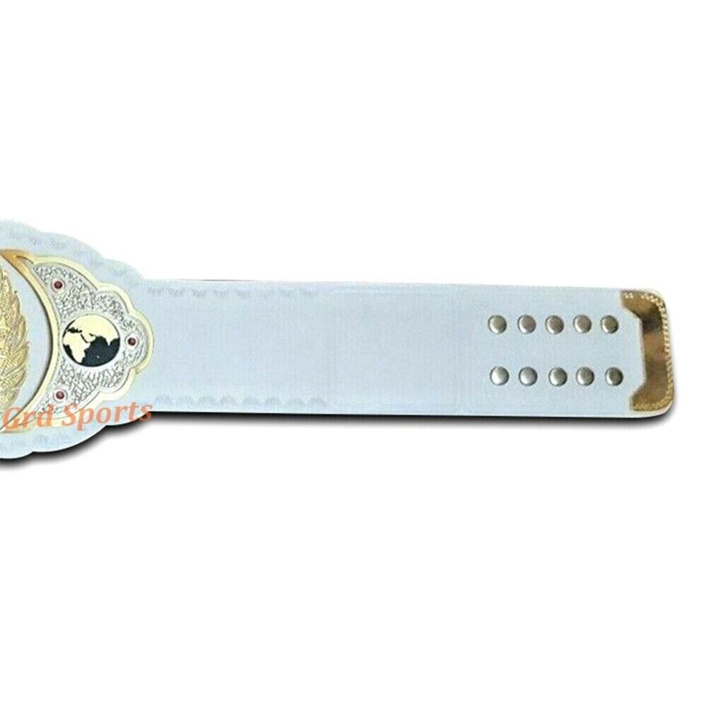 TNA Women's Championship Title Belt