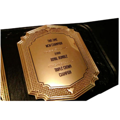 The Rock WWE Brahma Belt