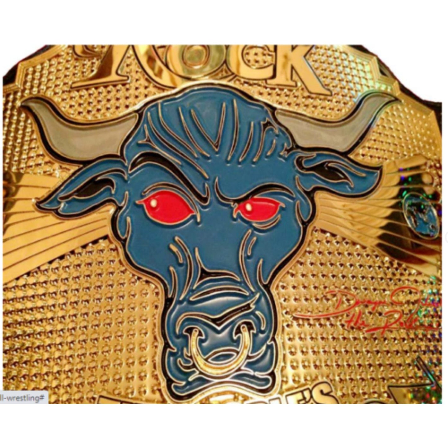 The Rock WWE Brahma Belt
