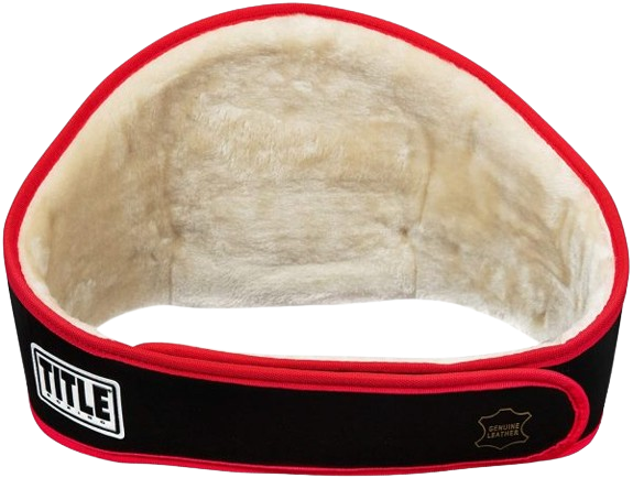 Force of One Boxing Championship Belt