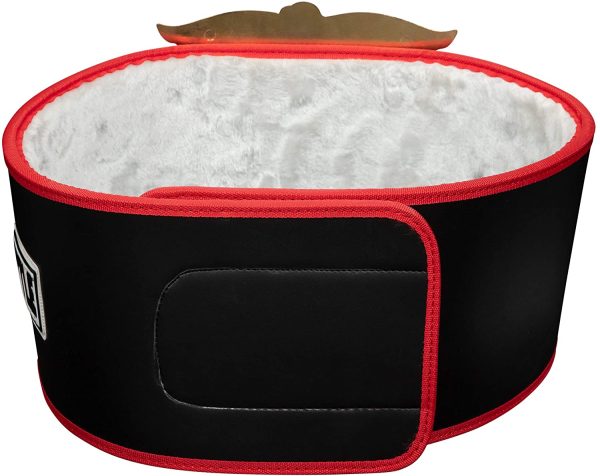 Platinum Boxing Championship Replica Belt