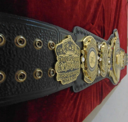 Triple Crown World Heavyweight Belt