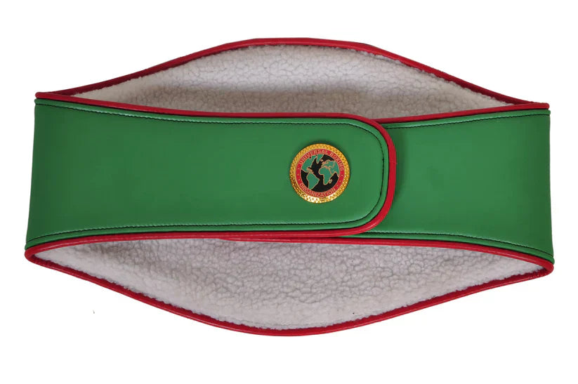 UBO Boxing World Championship Belt