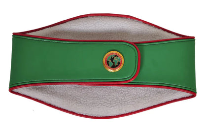 UBO Boxing World Championship Belt