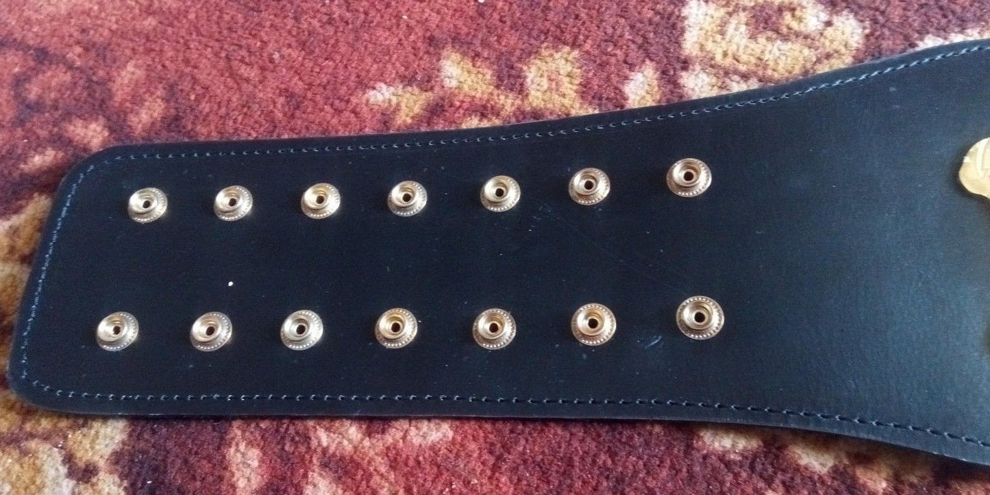 WCW Cruiserweight Championship Wrestling Belt