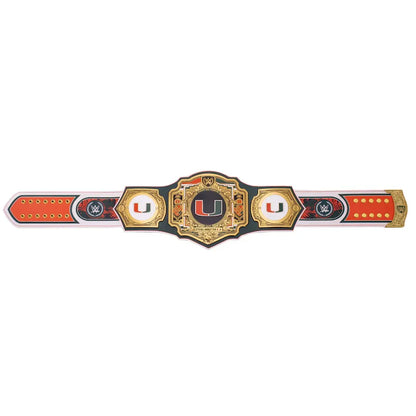 WWE Miami Hurricanes Championship Belt